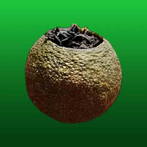 Vintage Reserve Citrus Pu'er